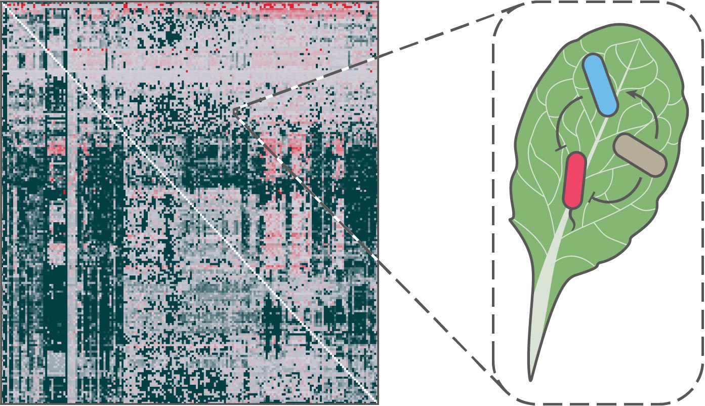 interaction heatmap